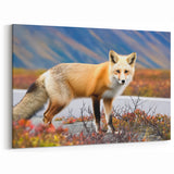 Majestic Yukon Fox - Wildlife Portrait Canvas