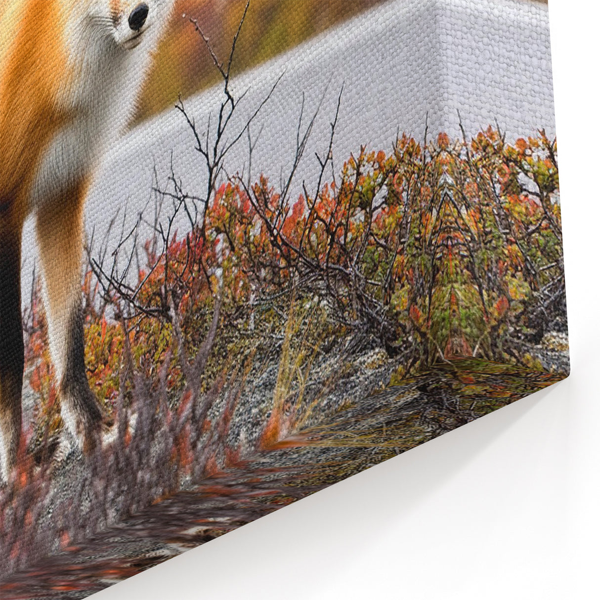 Majestic Yukon Fox - Wildlife Portrait Canvas