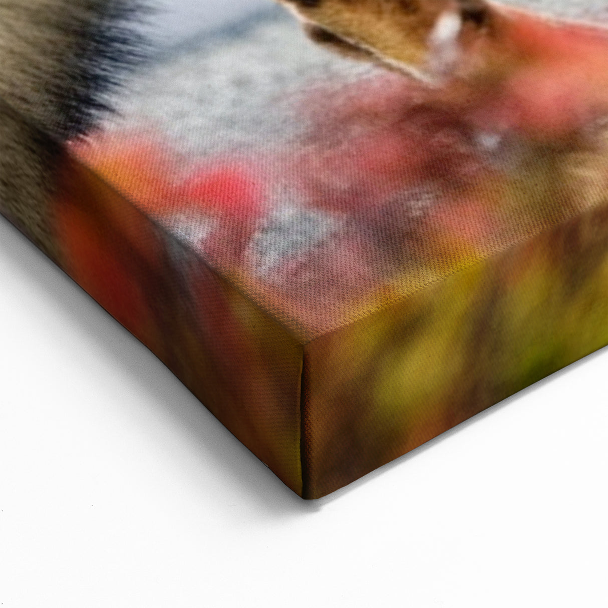 Majestic Yukon Fox - Wildlife Portrait Canvas