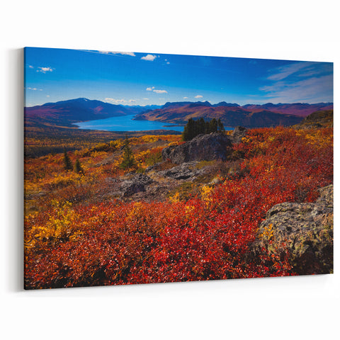 Yukon Territory Wall Art - Autumn Wilderness Canvas Print