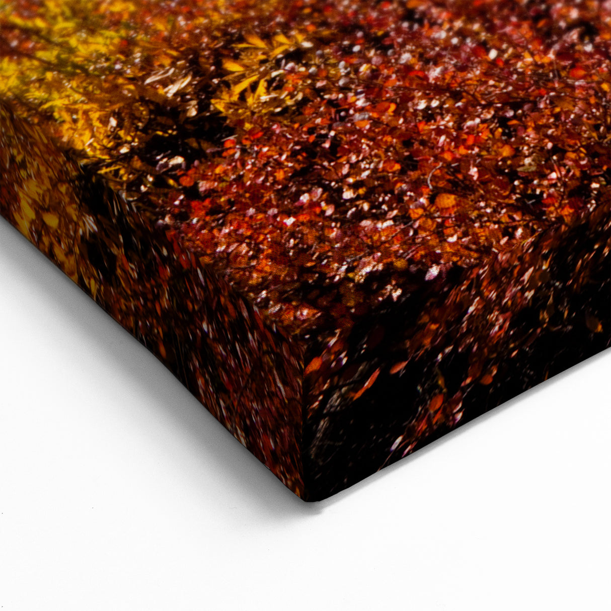 Yukon Territory Wall Art - Autumn Wilderness Canvas Print