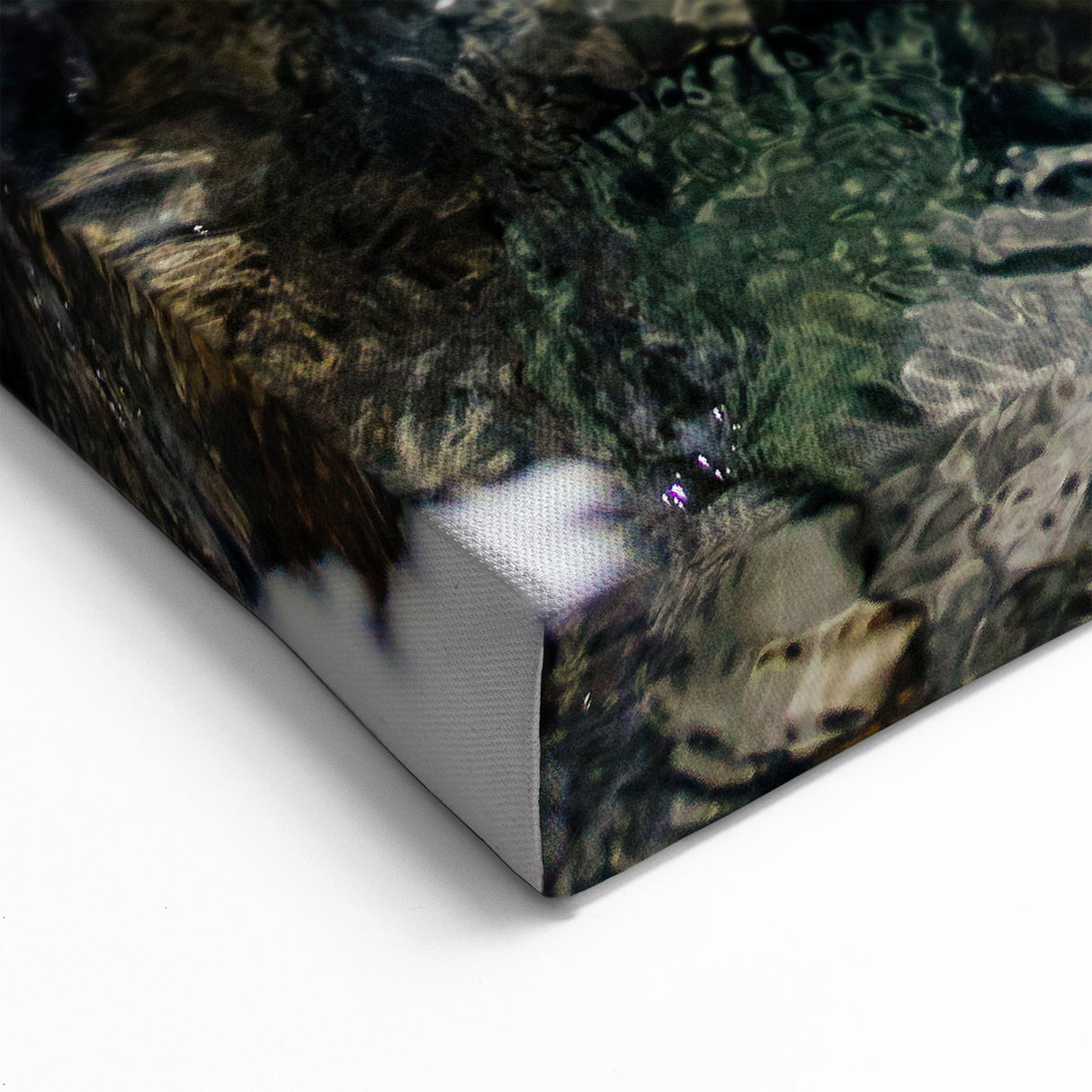 Ice Cave Exploration Yukon - Intimate Nature Canvas