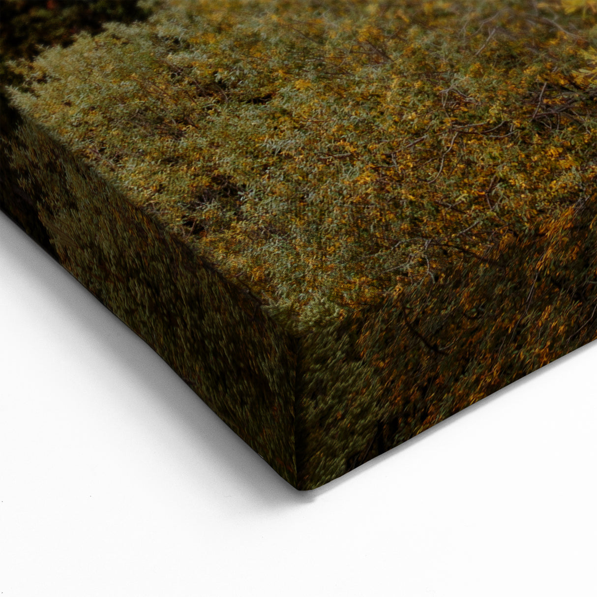 Yukon Lakeside Autumn - Majestic Mountain Canvas