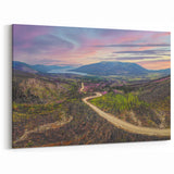 Regeneration Path - Yukon Wildfire Recovery Canvas