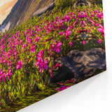 Sunset Bloom - Yukon Mountain Wildflowers Canvas