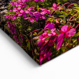 Sunset Bloom - Yukon Mountain Wildflowers Canvas