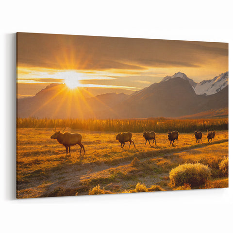 Sunset Sojourn - Caribou in Yukon Wilderness Canvas