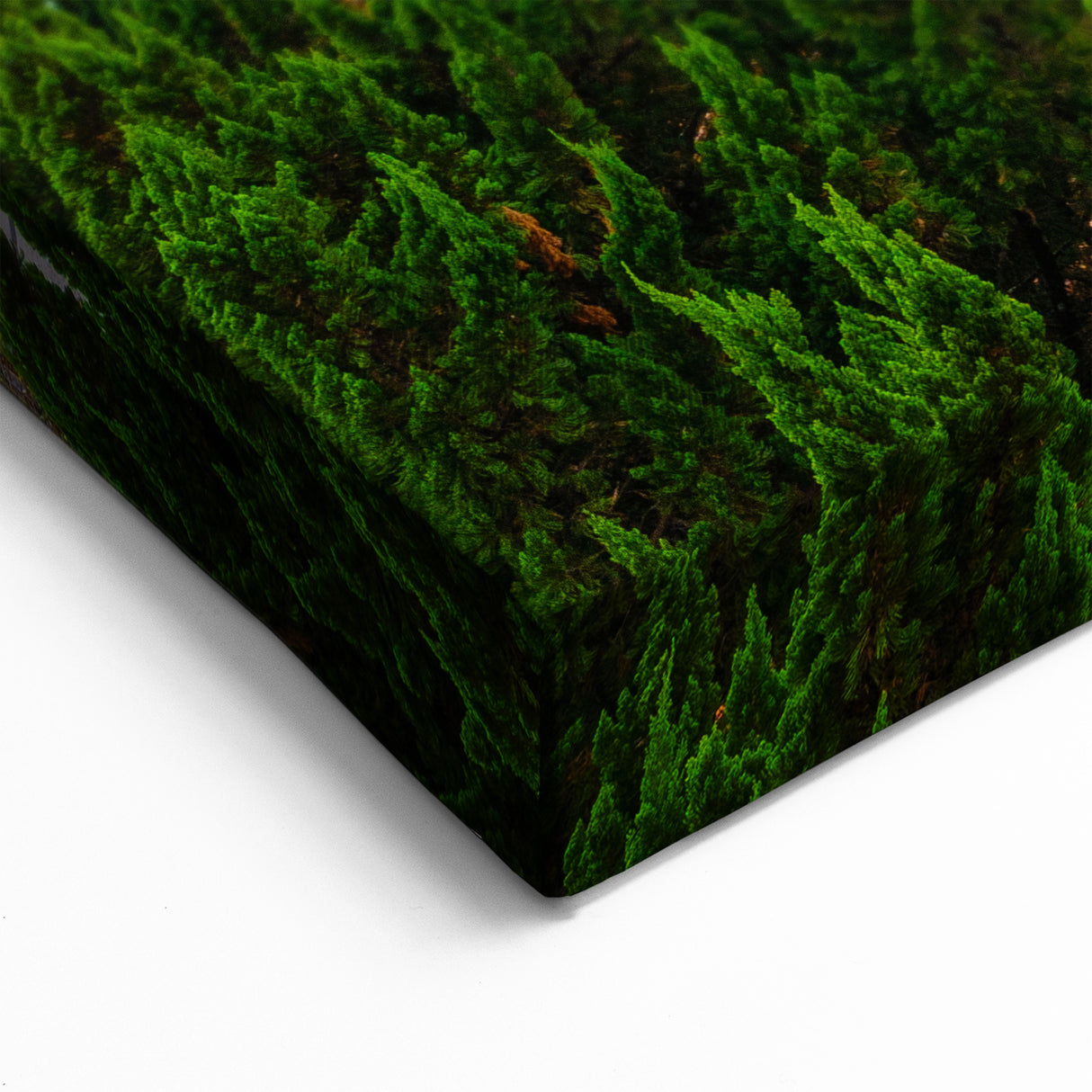 Sunset Traditional Taiwan Temple - Majestic Temple Wall Art Print