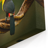 Belize Landscape Canvas - Toucan Duo Artwork