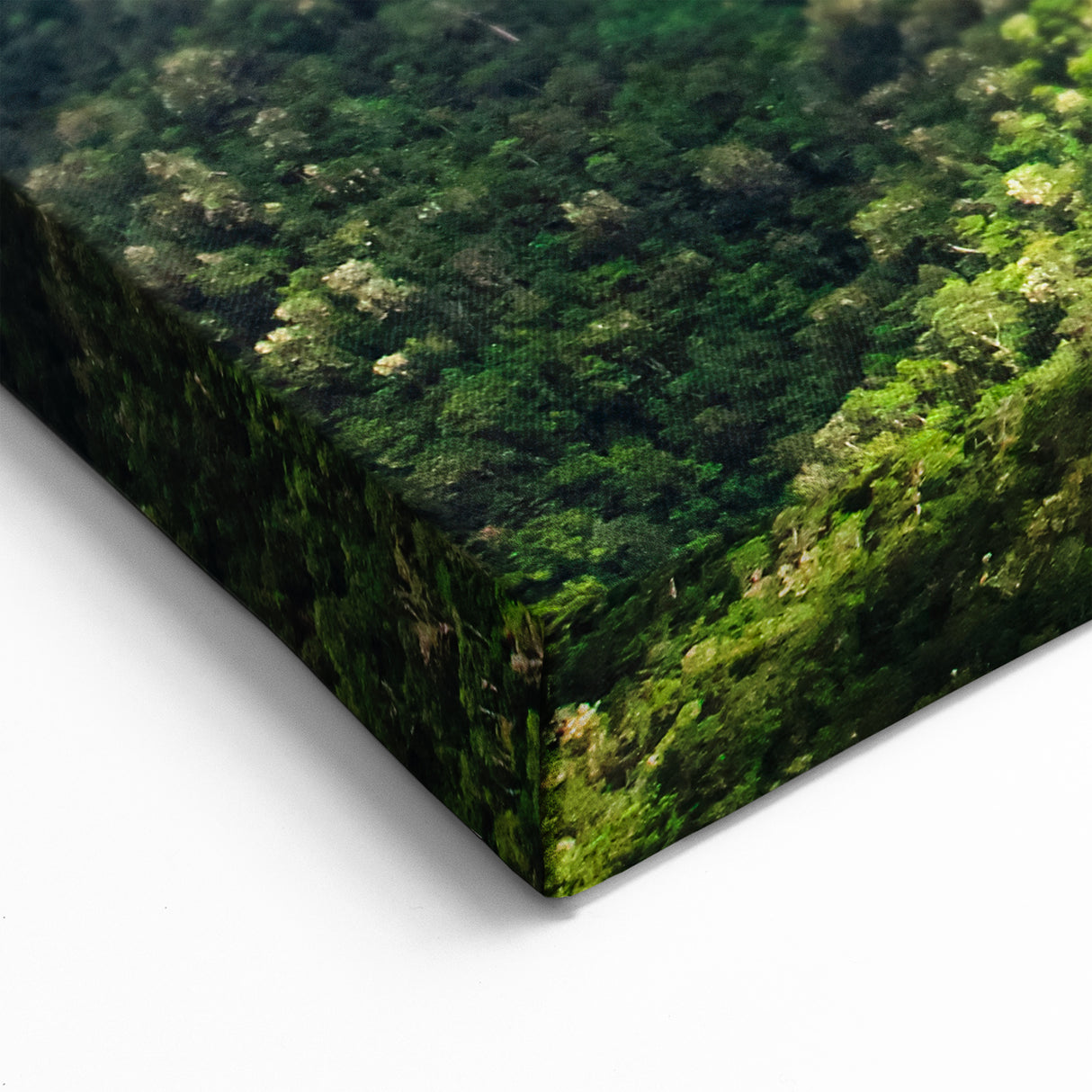 Belize Scenery Prints - Lush Mountain Canvas
