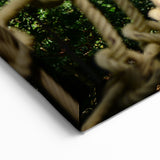 Belize Nature Prints - Forest Rope Bridge Canvas