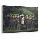 Thai Farmer Art - Traditional Rice Planting Canvas Print