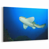 Leopard Shark Art - Underwater Thai Marine Life Canvas Print