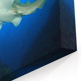 Leopard Shark Art - Underwater Thai Marine Life Canvas Print