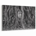 Traditional Thai Art - Buddha Entwined in Roots Canvas Print