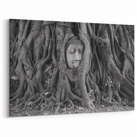 Traditional Thai Art - Buddha Entwined in Roots Canvas Print