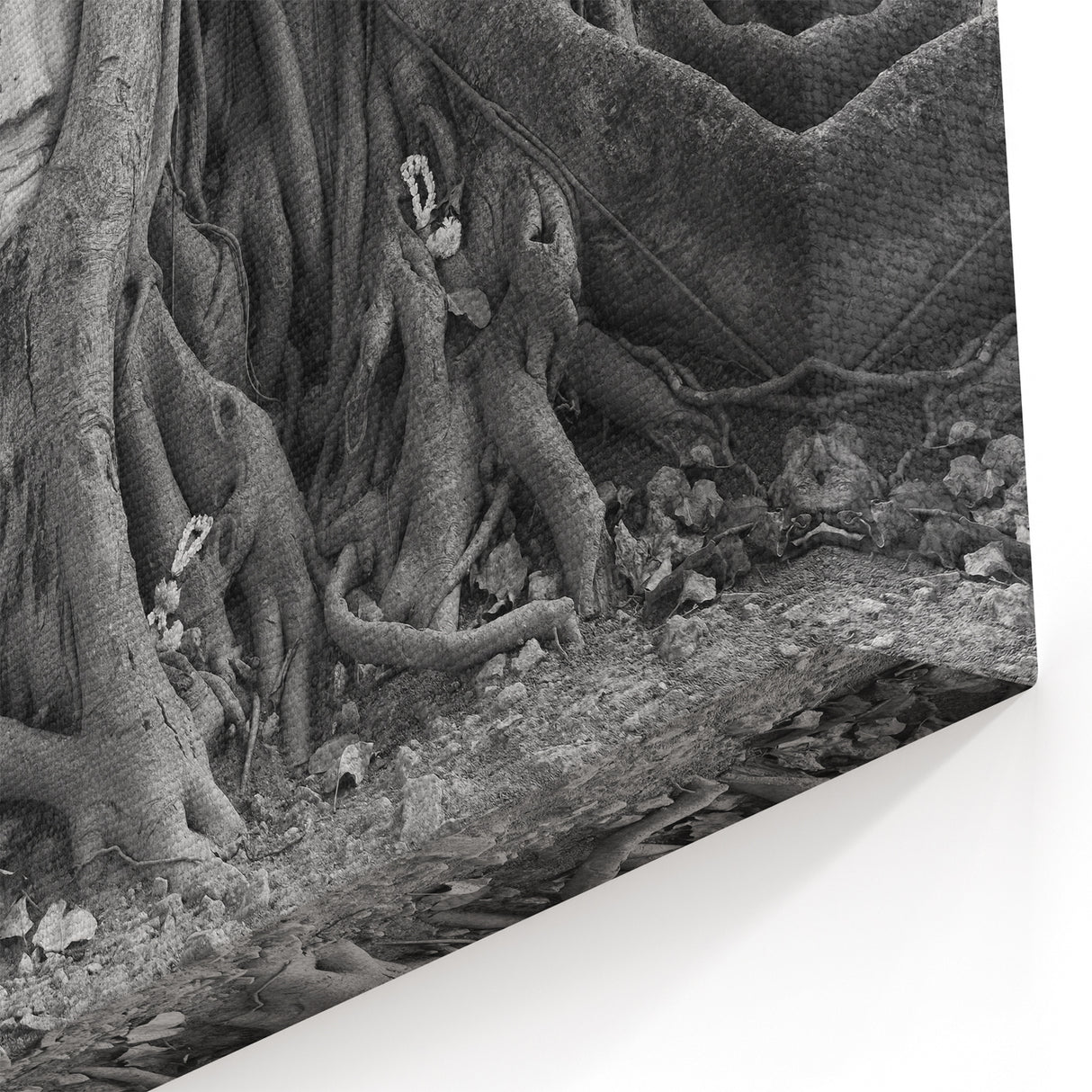 Traditional Thai Art - Buddha Entwined in Roots Canvas Print