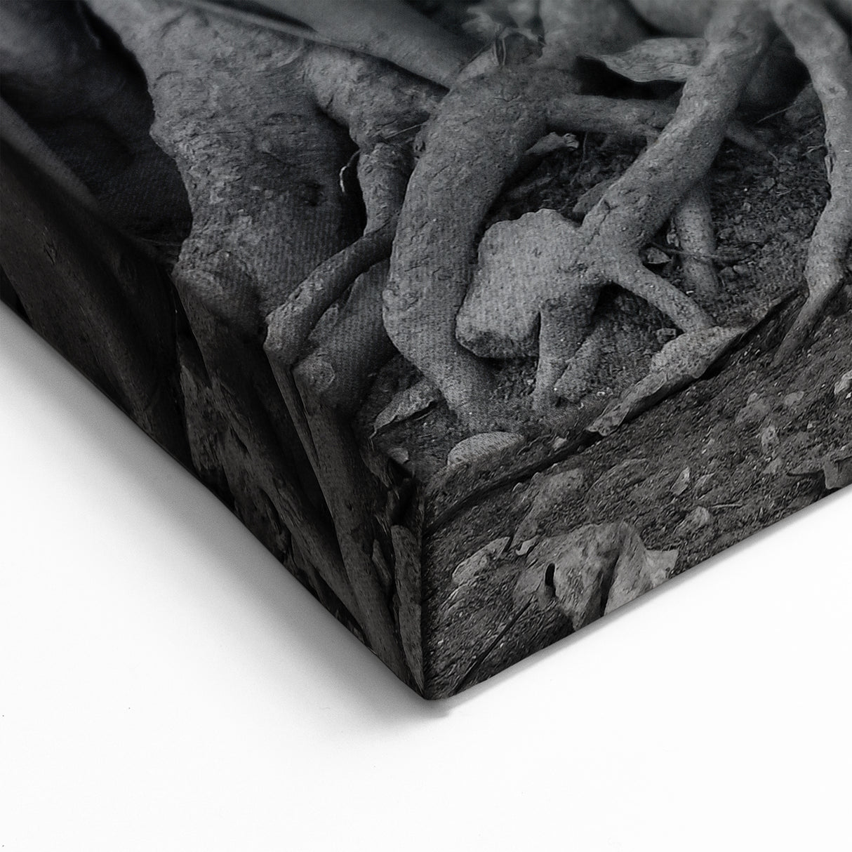 Traditional Thai Art - Buddha Entwined in Roots Canvas Print