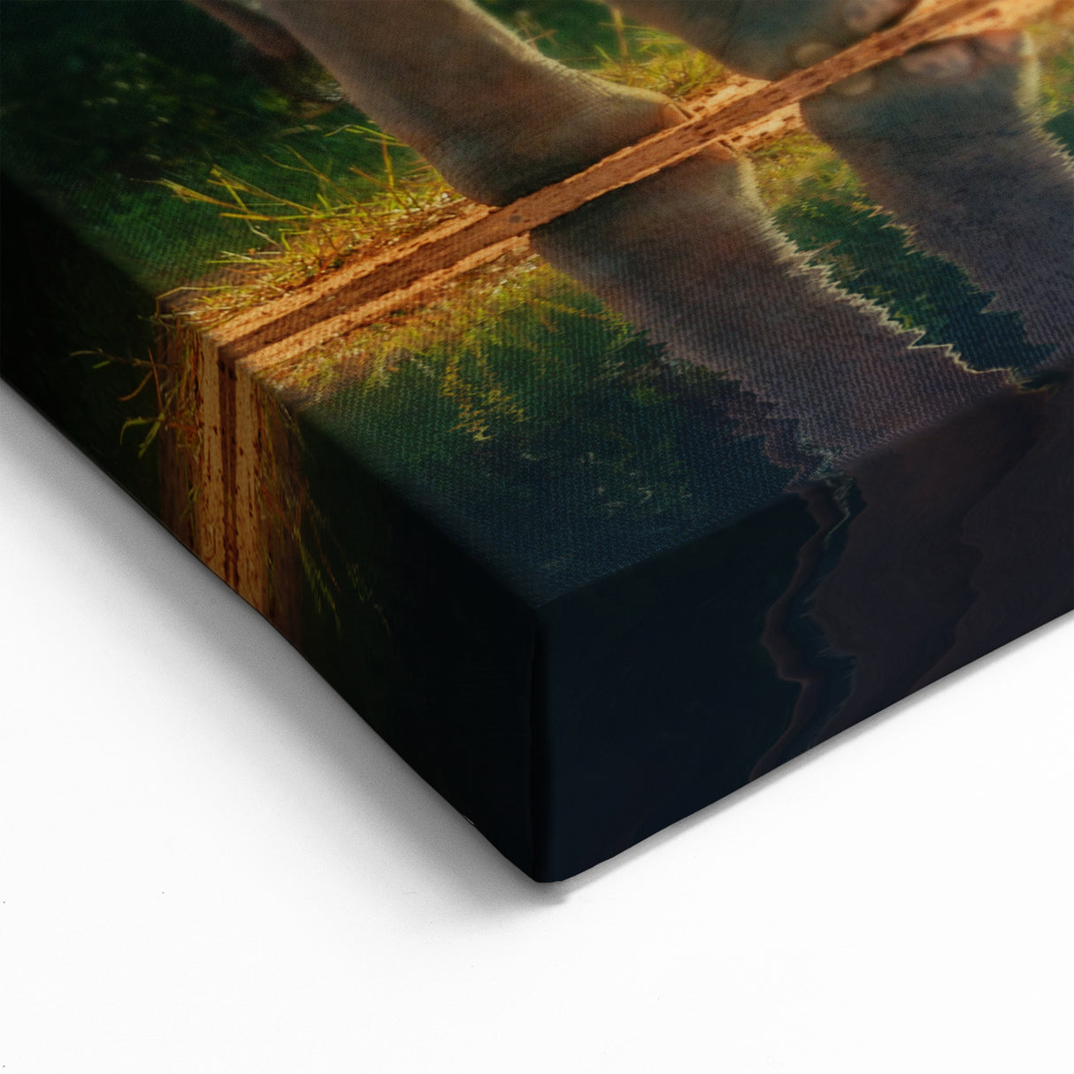 Thai Elephant and Monks - Serene Morning Walk Canvas Print