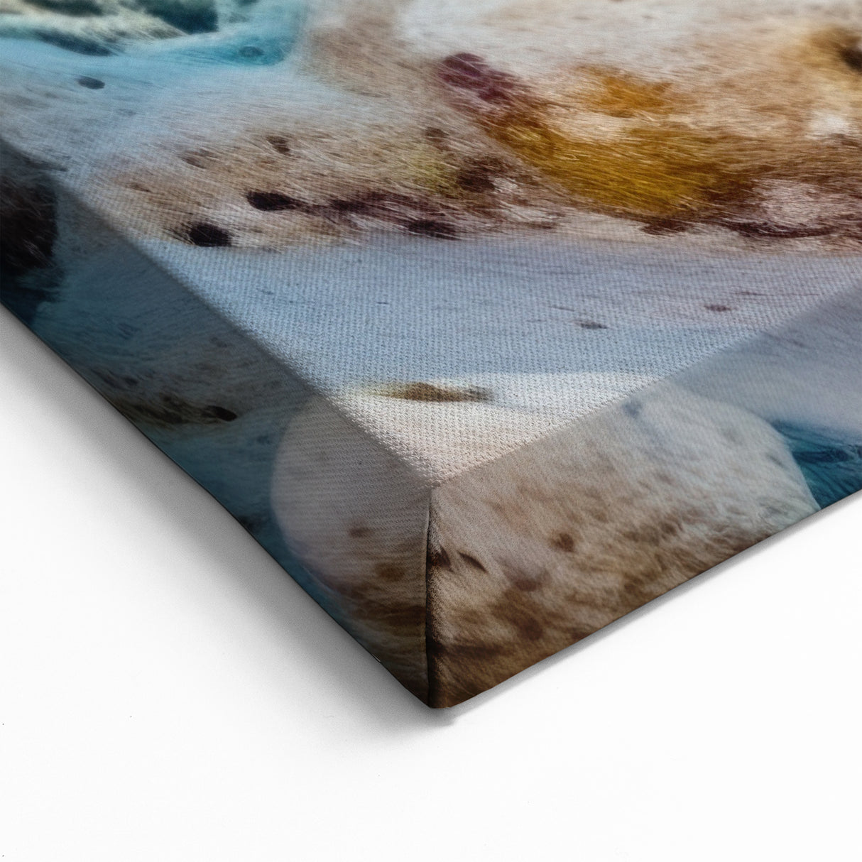 Belize Scenery Prints - Underwater Coral Paradise Canvas