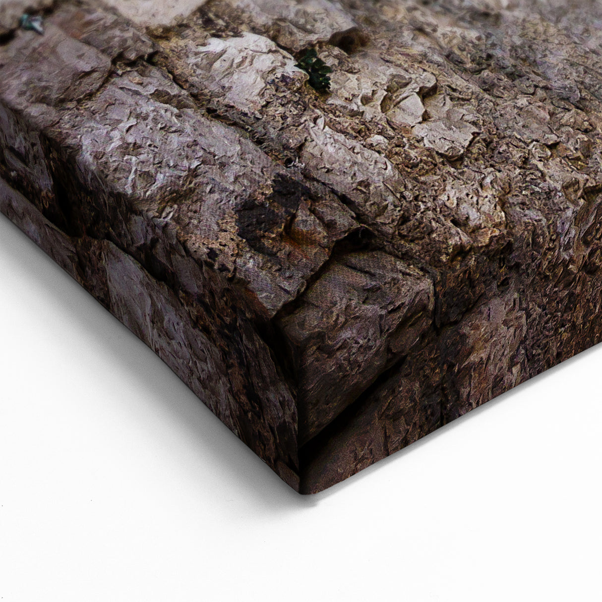 Split Croatia Art - Charming Alleyway Floral Canvas