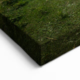 Afghanistan River Valley Art – Serene Afghan Scenery Canvas Prints