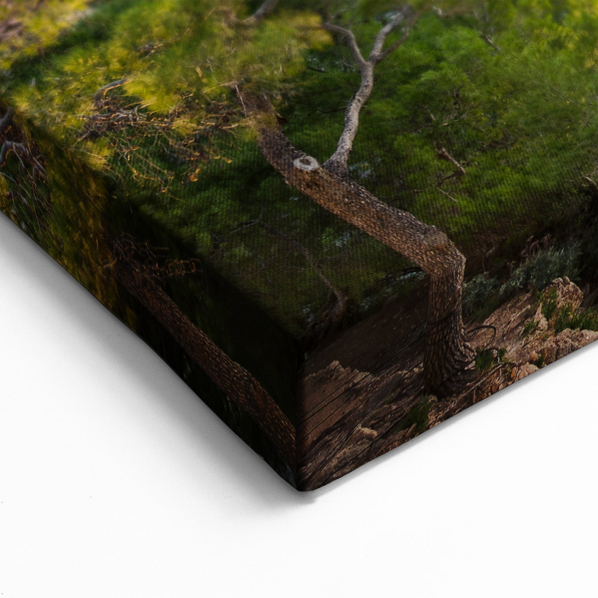 Dubrovnik Cityscape - Croatia Scenery Prints