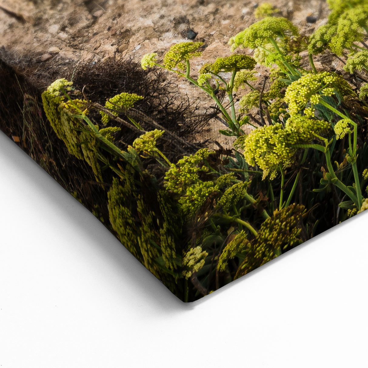 Europe Travel Art - Cyprus Sea Arch Landscape