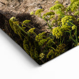 Europe Travel Art - Cyprus Sea Arch Landscape