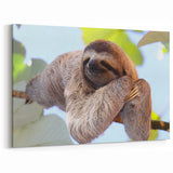 Costa Rica Sloth in Nature Canvas - Peaceful Wildlife Art