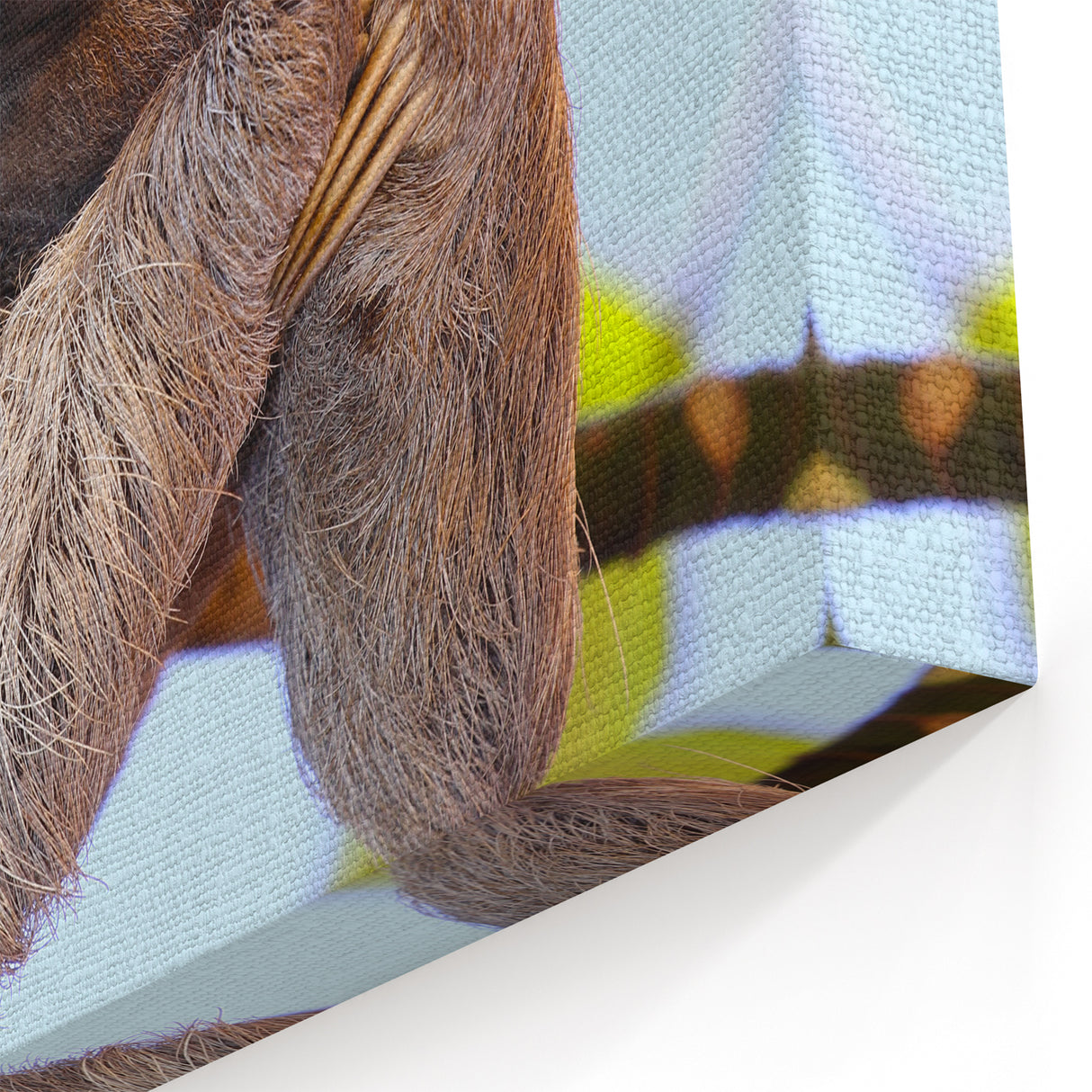 Costa Rica Sloth in Nature Canvas - Peaceful Wildlife Art