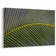 Lush Costa Rican Palm Leaf Canvas - Abstract Nature Art