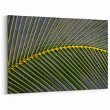 Lush Costa Rican Palm Leaf Canvas - Abstract Nature Art