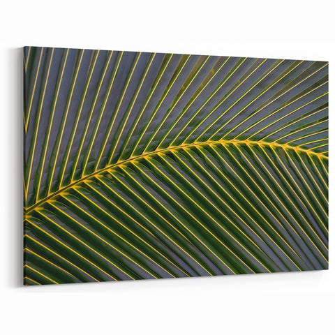 Lush Costa Rican Palm Leaf Canvas - Abstract Nature Art