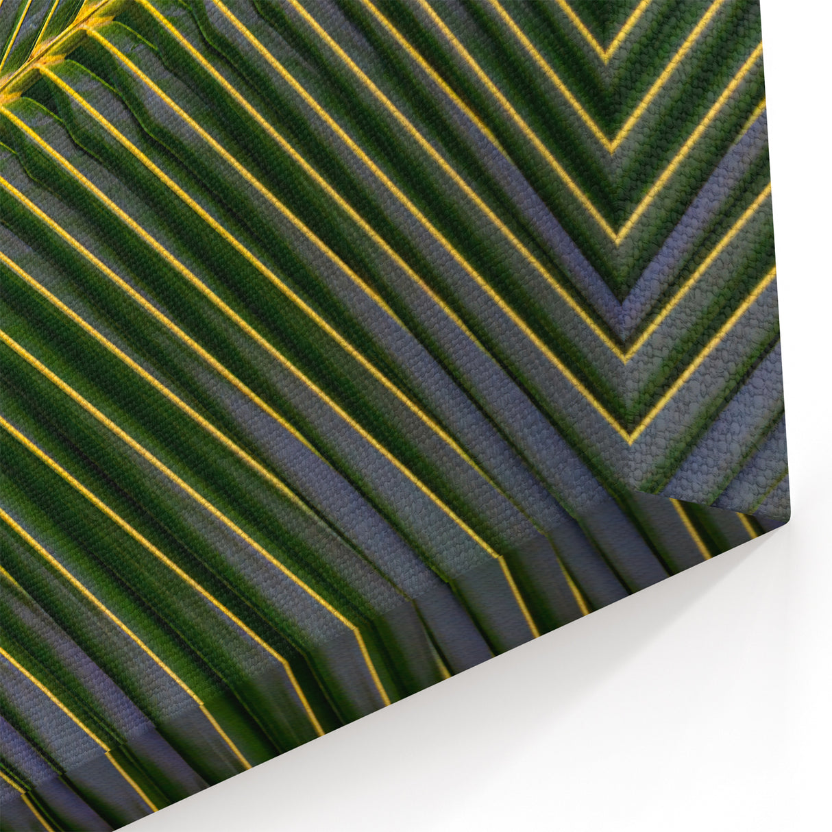 Lush Costa Rican Palm Leaf Canvas - Abstract Nature Art