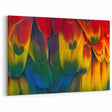 Aerial Costa Rican Forest and Lake Canvas - Pristine Nature Art