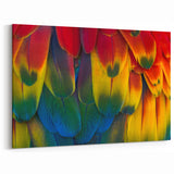 Aerial Costa Rican Forest and Lake Canvas - Pristine Nature Art