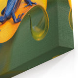 Costa Rican Blue Frog on Yellow Flower Canvas - Exotic Wildlife Art