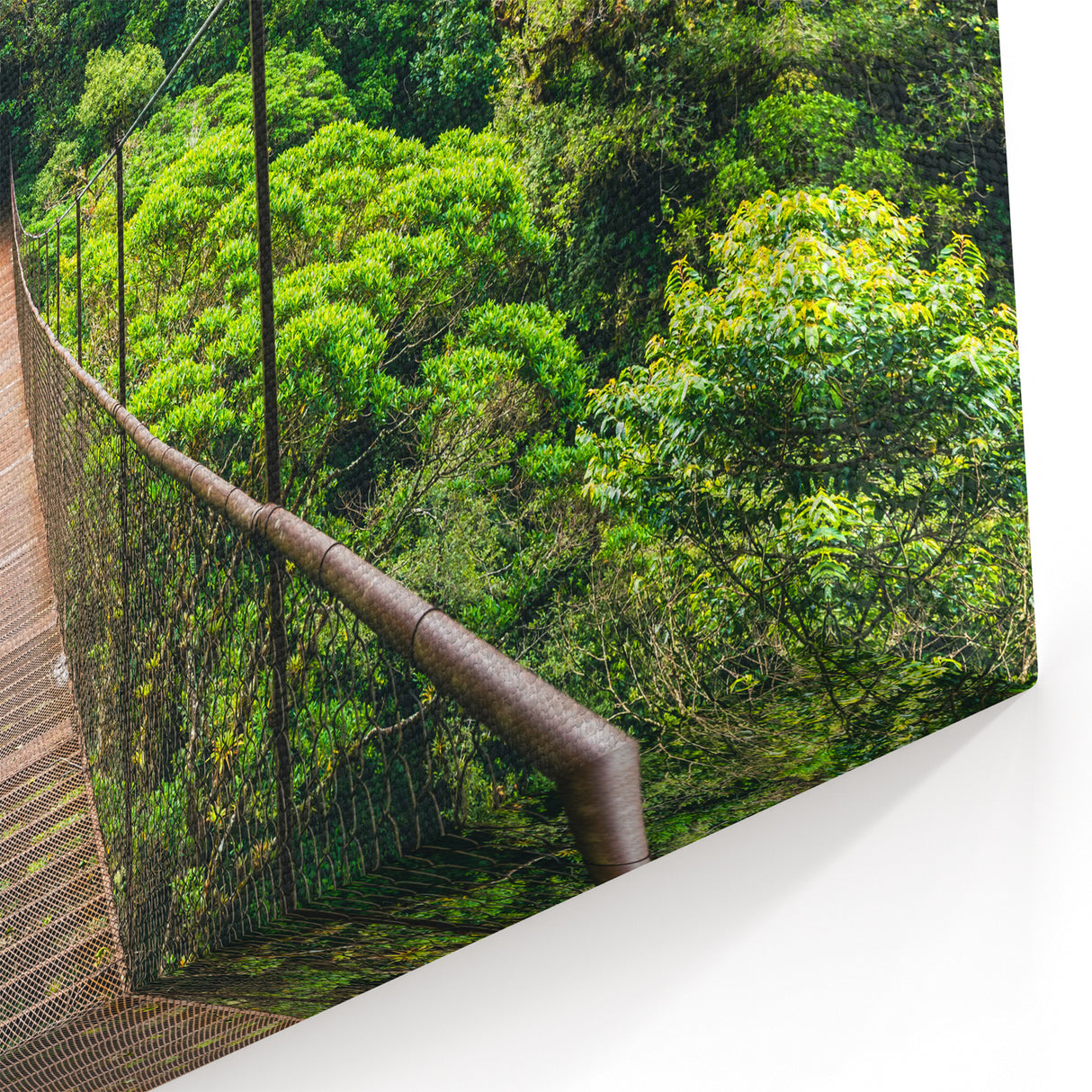 Mystical Costa Rican Rainforest Bridge Canvas - Adventure Art