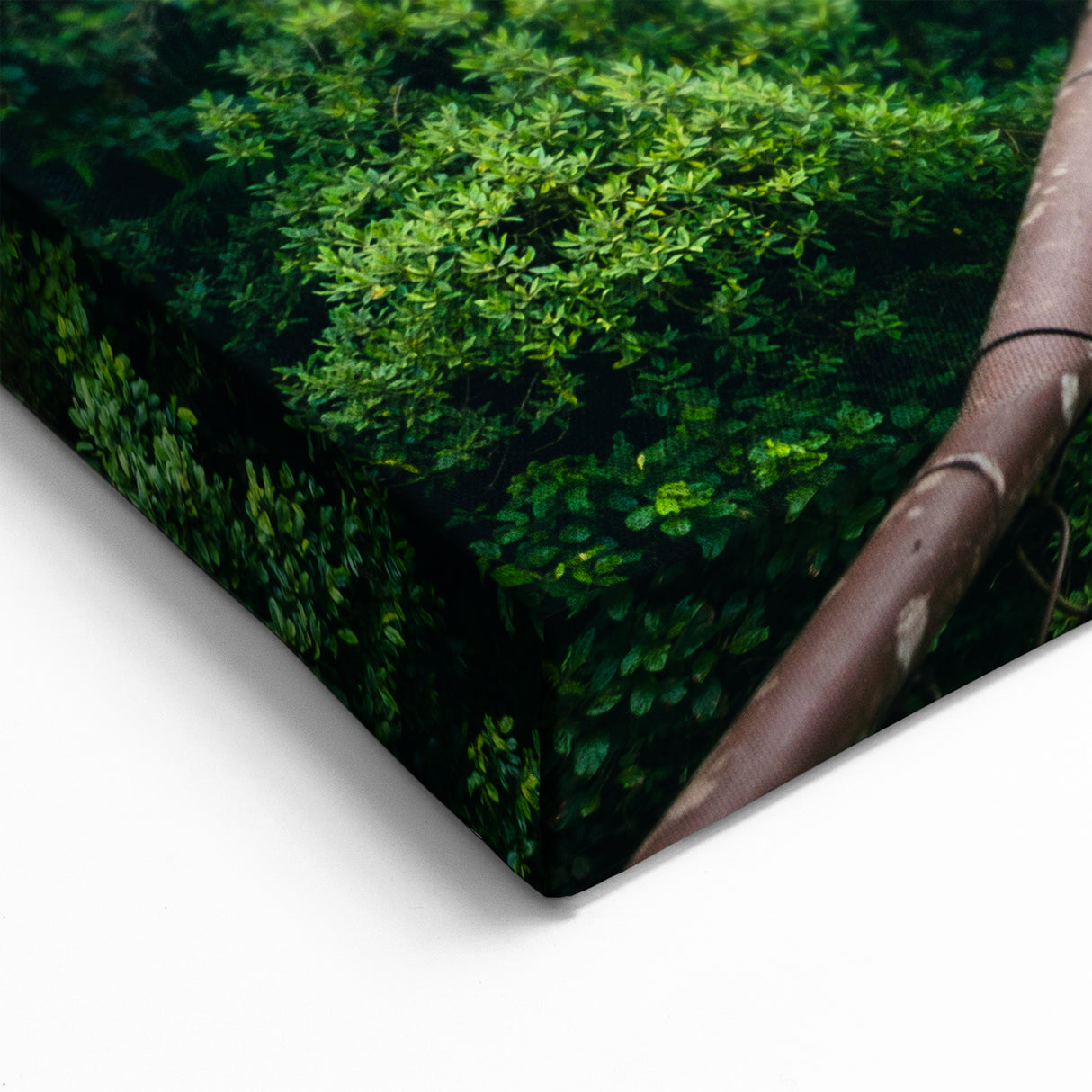 Mystical Costa Rican Rainforest Bridge Canvas - Adventure Art