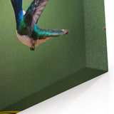 Dynamic Costa Rican Hummingbird Canvas - Vivid Wildlife Art