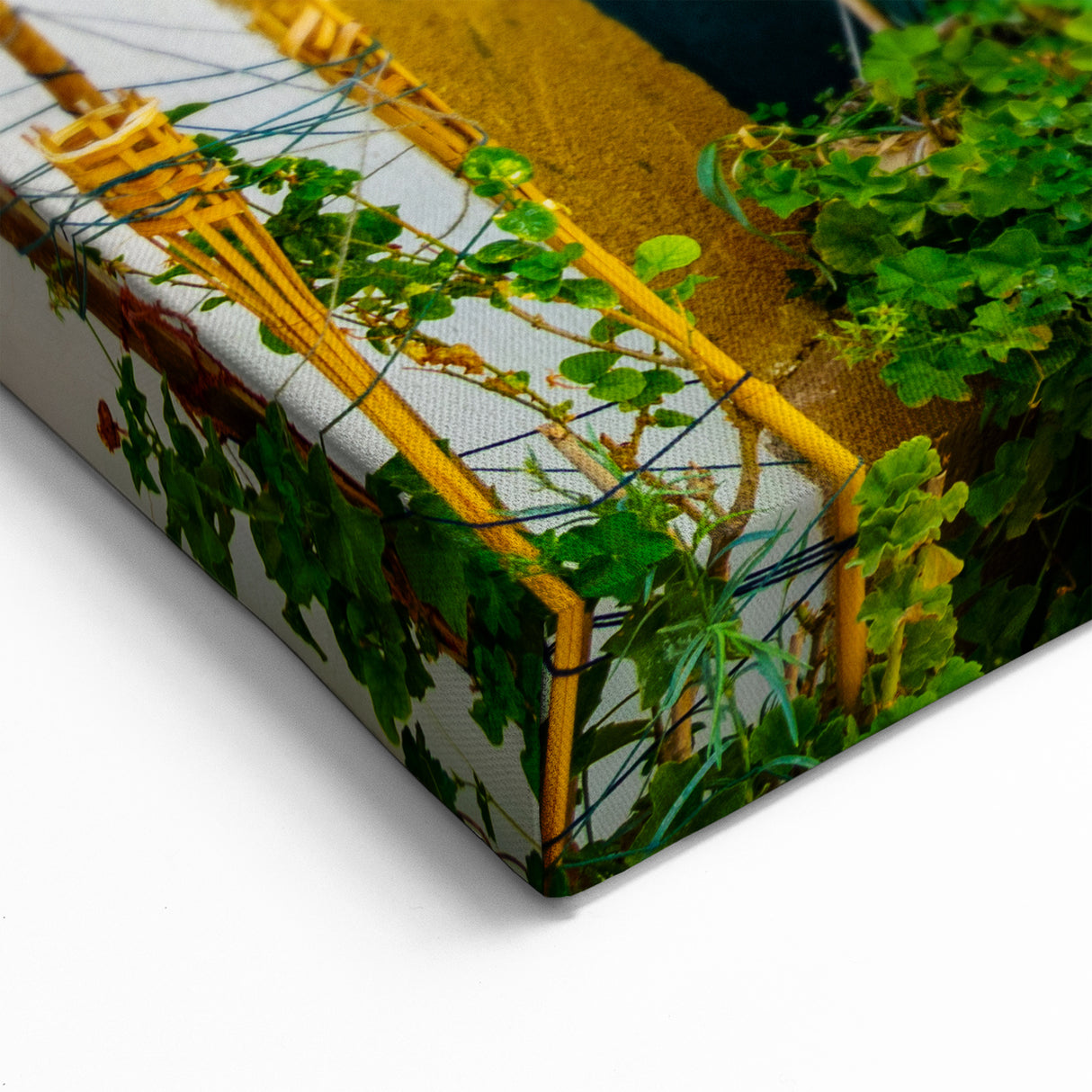 Nicosia Art Prints - Quaint Cyprus Street View