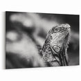 Costa Rican Iguana Portrait Canvas - Monochrome Wildlife Art