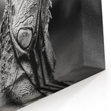Costa Rican Iguana Portrait Canvas - Monochrome Wildlife Art