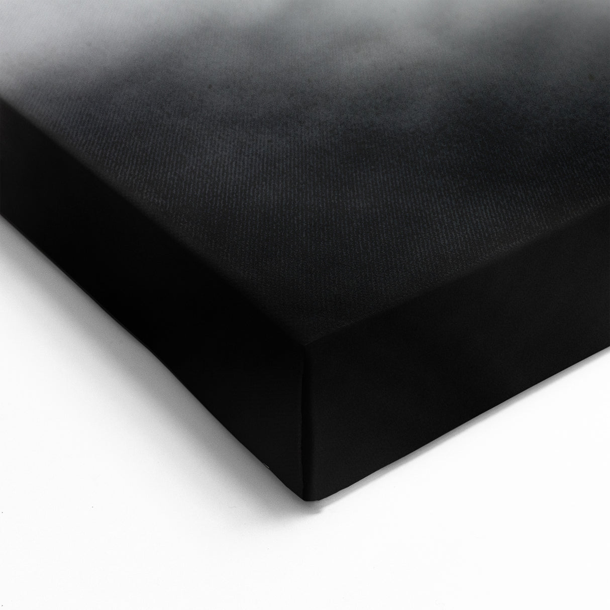 Costa Rican Iguana Portrait Canvas - Monochrome Wildlife Art