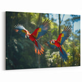 Costa Rican Macaws in Flight Canvas - Vivid Wildlife Art