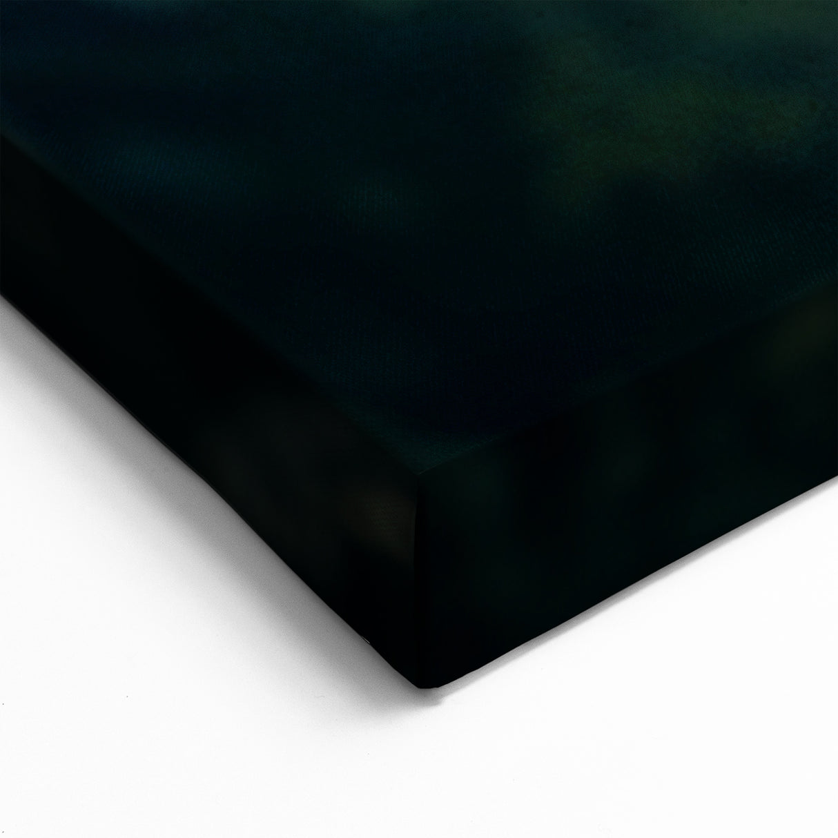 Costa Rican Macaws in Flight Canvas - Vivid Wildlife Art