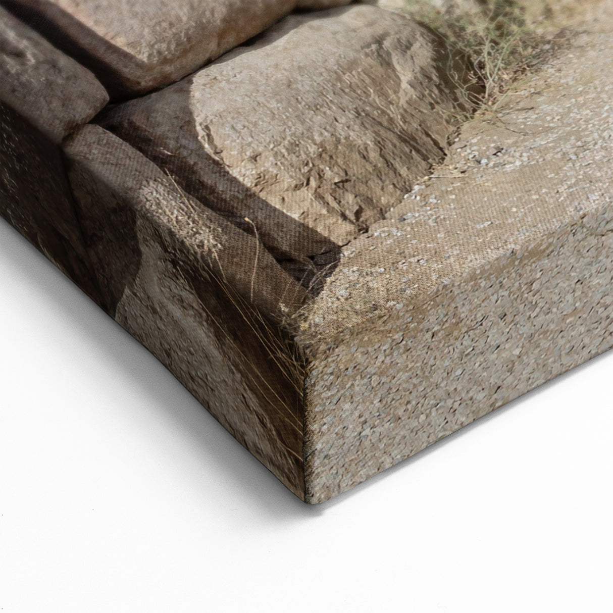 Ancient Hittite Lion Gate Art - Turkish Historical Canvas