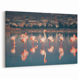 Larnaca Framed Prints - Scenic Cyprus Prints Flamingos at Sunset