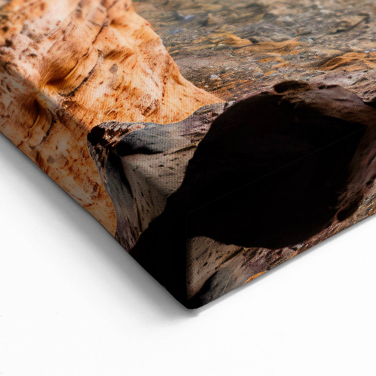 Cyprus Wall Art - Coastal Cyprus Landscapes Sunlit Sea Cave View